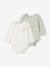 Lot de 2 bodies Winnie l Ourson vert d'eau 1 - vertbaudet enfant 