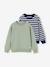 Lot de 2 sweats garçon col rond vert sauge 6 - vertbaudet enfant 
