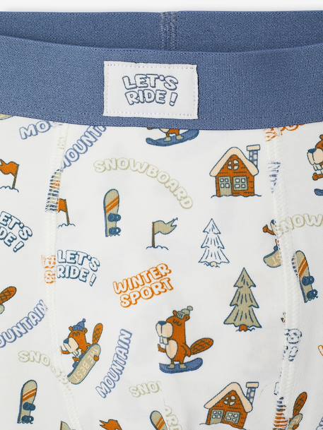 Lot de 5 boxers garçon bleu jean 9 - vertbaudet enfant 