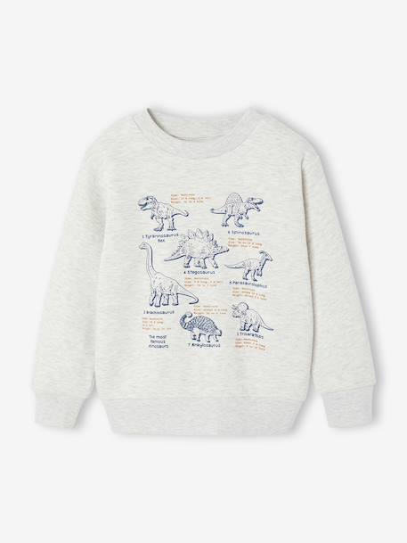 Garçon-Sweat garçon col rond manches longues