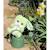 Peluche - peluche lapin kiwi – cutydoos spring – 23 cm Vert 2 - vertbaudet enfant 