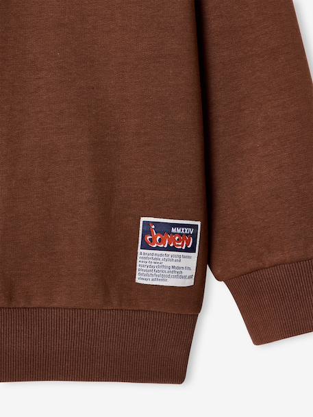 Lot de 2 sweats garçon noisette 6 - vertbaudet enfant 