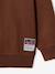 Lot de 2 sweats garçon noisette 6 - vertbaudet enfant 