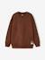 Lot de 2 sweats garçon noisette 3 - vertbaudet enfant 