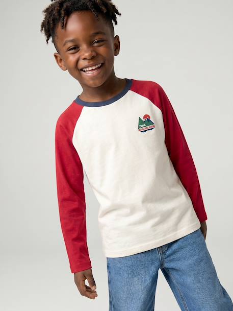 T-shirt manches longues garçon bordeaux+ocre+vert sauge 1 - vertbaudet enfant 