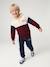 Sweat capuche garçon colorblock bordeaux+rouge 6 - vertbaudet enfant 