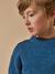 Pull garçon en laine merinos Bleu+Bleu clair+Gris chine+Vert 3 - vertbaudet enfant 