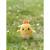 Peluche - œuf cosymals de pâques - poussin jaune en peluche  - 12 cm Yellow 5 - vertbaudet enfant 