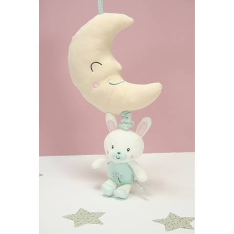 Boîte à musique les ptits féeriques lapin - 32 cm Green 2 - vertbaudet enfant 