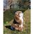 Peluche - peluche lapin bélier marron - 18 cm Brown 2 - vertbaudet enfant 