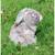 Peluche - peluche lapin flammé douceur marron - 25 cm Brown 2 - vertbaudet enfant 