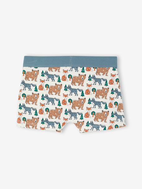 Lot de 5 boxers garçon beige 6 - vertbaudet enfant 