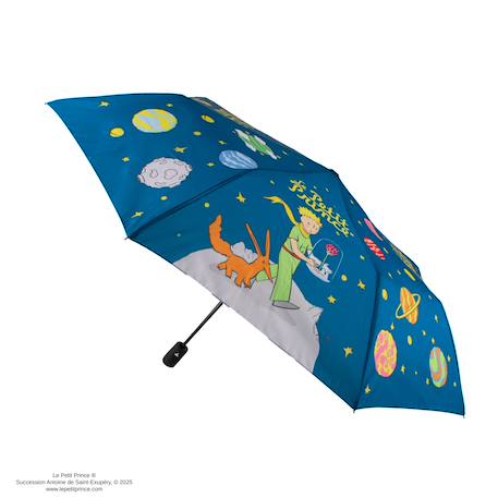 Garçon-Parapluie compagnons cosmiques - le petit prince