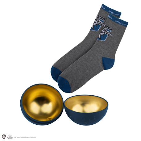 Capsule de noël avec boule de noël et chaussettes serdaigle - harry potter Blue 3 - vertbaudet enfant 