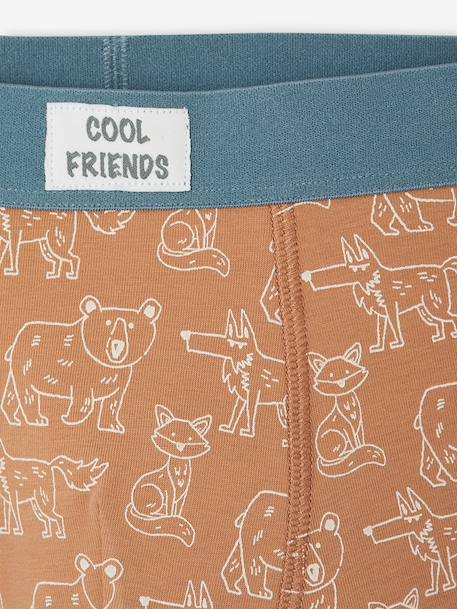 Lot de 5 boxers garçon beige 8 - vertbaudet enfant 
