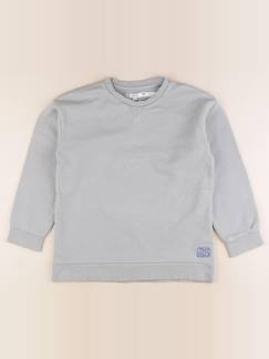 Seconde main-Garçon-Pull, gilet, sweat-Sweat - 10 ans
