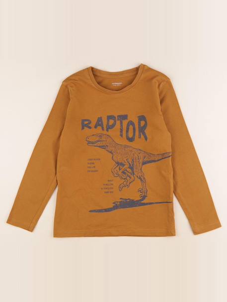 Tee-shirt - 8 ans Marron 1 - vertbaudet enfant 