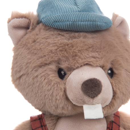 Peluche victor le castor Marron 6 - vertbaudet enfant 