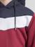 Sweat capuche warcy garçon Red 3 - vertbaudet enfant 