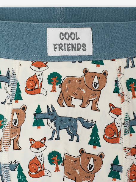 Lot de 5 boxers garçon beige 7 - vertbaudet enfant 