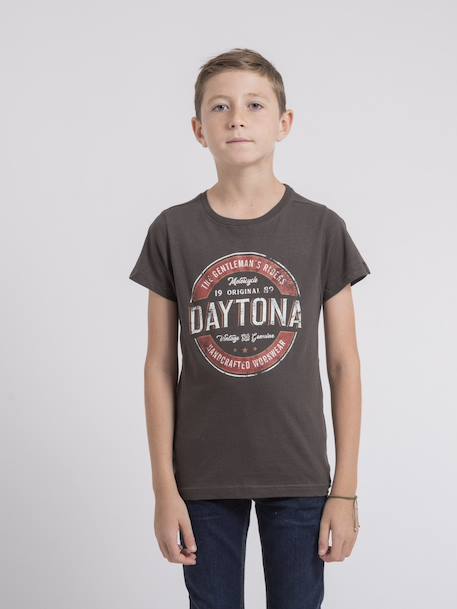 T-shirt col rond pur coton jocoby garçon Blue+Green+Grey 9 - vertbaudet enfant 