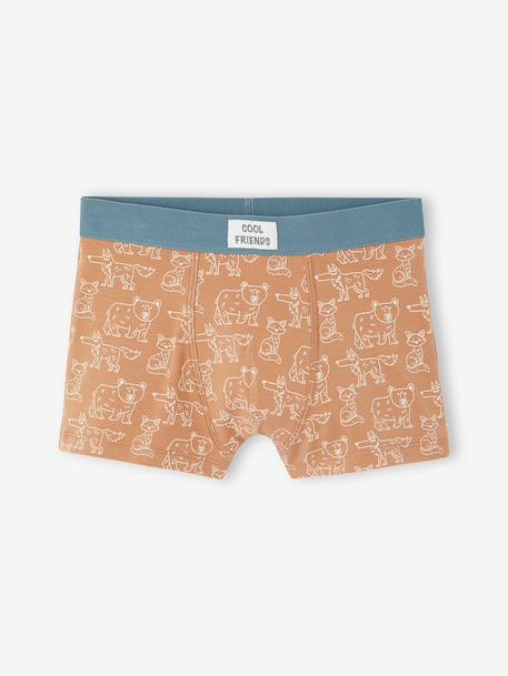 Lot de 5 boxers garçon beige 5 - vertbaudet enfant 