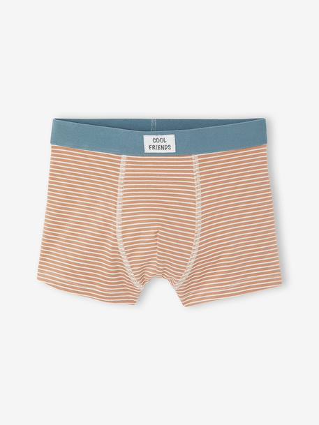 Lot de 5 boxers garçon beige 4 - vertbaudet enfant 
