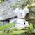 Peluche bébé Grey 3 - vertbaudet enfant 