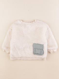 Seconde main-Garçon-Pull, gilet, sweat-Sweat - 12 mois