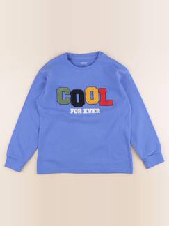 Seconde main-Garçon-Pull, gilet, sweat-Sweat - 10 ans
