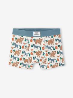 -Lot de 5 boxers garçon
