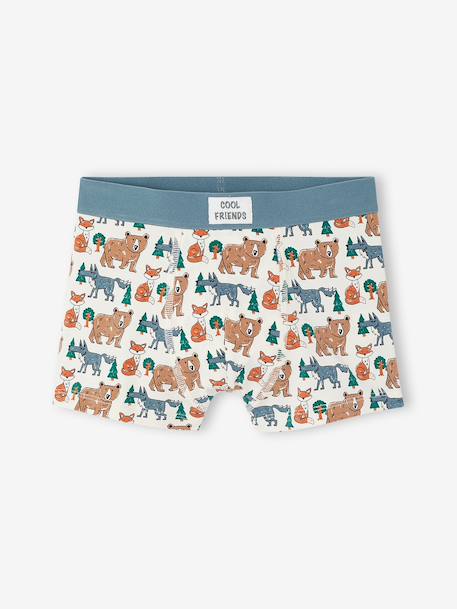 Garçon-Lot de 5 boxers garçon