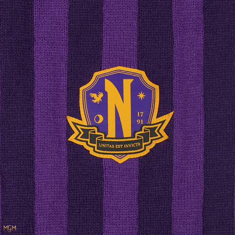 Écharpe violette académie nevermore - mercredi Purple 5 - vertbaudet enfant 