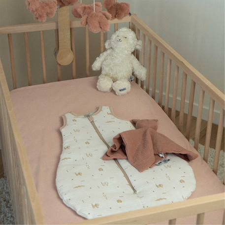 Lot de 2 draps-housses lit bébé #8fbc8f+#ffffff+Pink 12 - vertbaudet enfant 