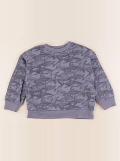Seconde main-Garçon-Pull, gilet, sweat-Sweat - 6 ans
