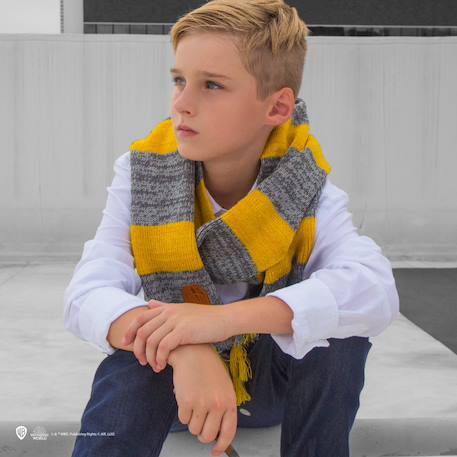 Écharpe norbert dragonneau - harry potter Grey 2 - vertbaudet enfant 
