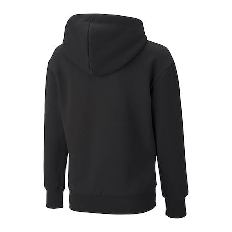 Sweat a capuche Garçon alpha hoodie Noir 2 - vertbaudet enfant 