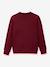 Sweat col rond bordeaux 1 - vertbaudet enfant 
