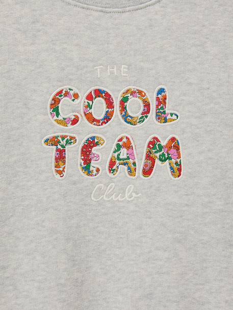 Sweat Cool Team gris 3 - vertbaudet enfant 