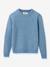 Pull Merinos bleu clair 1 - vertbaudet enfant 