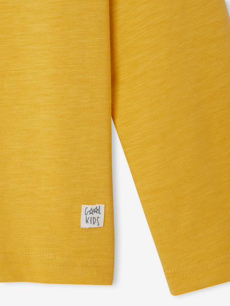 T-shirt garçon unis manches longues personnalisable anthracite+Bleu+jaune+jaune pâle+rouge+vert+vert sapin 22 - vertbaudet enfant 