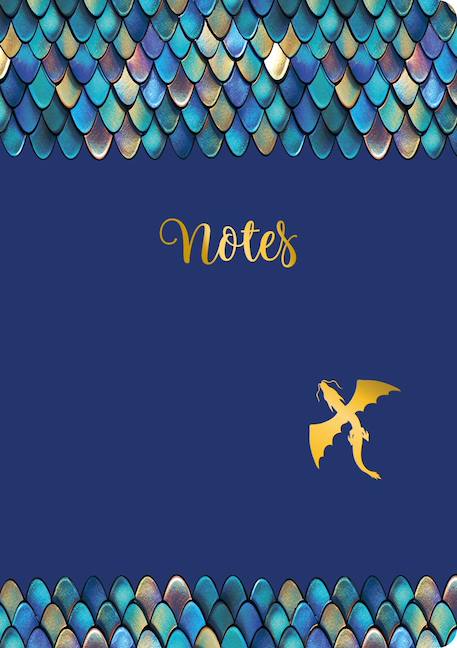 Carnet de note dragon a5 Bleu 2 - vertbaudet enfant 