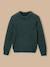 Pull en laine garçon Beige+Vert anglais 5 - vertbaudet enfant 