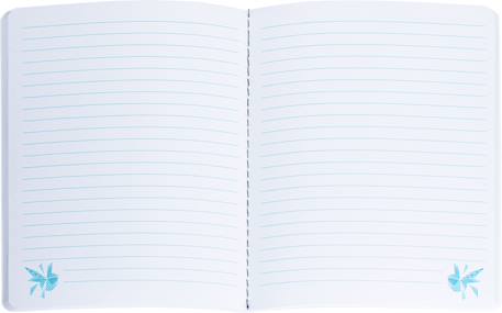 Carnet arctic vibes a5 80 pages lignées Bleu 3 - vertbaudet enfant 