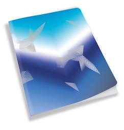 -Carnet arctic vibes a5 80 pages lignées