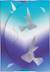 Notes repositionnables arctic adhésives Bleu 2 - vertbaudet enfant 