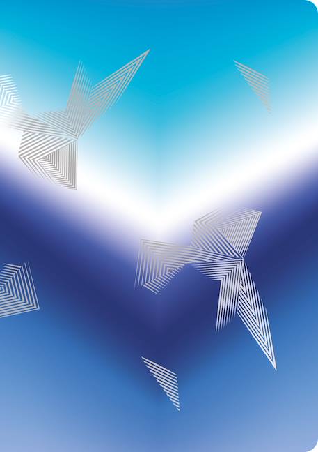 Carnet arctic vibes a5 80 pages lignées Bleu 2 - vertbaudet enfant 