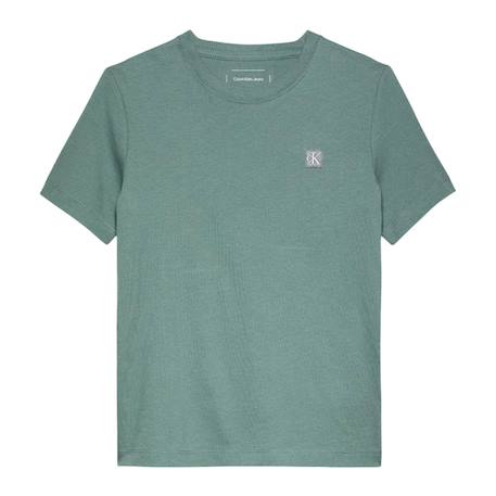 T-shirt à manches courtes garçon Vert 2 - vertbaudet enfant 