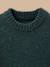 Pull en laine garçon Beige+Vert anglais 6 - vertbaudet enfant 
