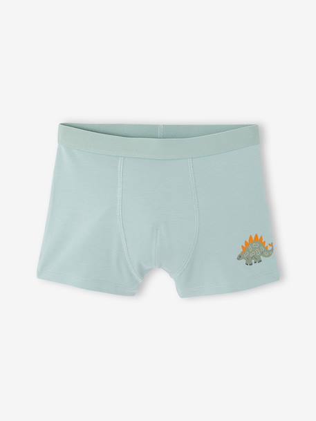Lot de 5 boxers garçon vert d'eau 2 - vertbaudet enfant 